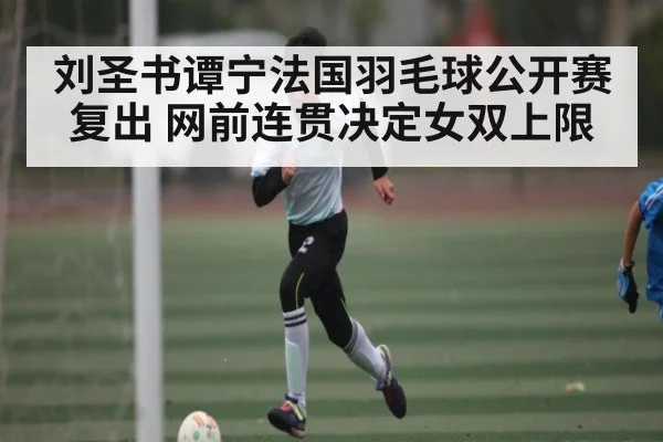 刘圣书谭宁法国羽毛球公开赛复出 网前连贯决定女双上限 - c7c7.app